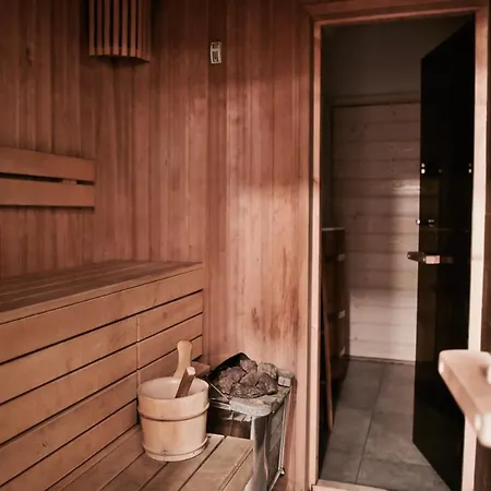 W Szczyrku Sauna & Balia 別荘 *