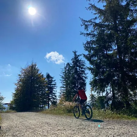 Дом отдыха W Szczyrku Sauna & Balia *