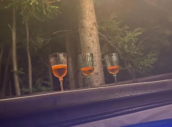 Prázdninový dům W Szczyrku Sauna & Balia *