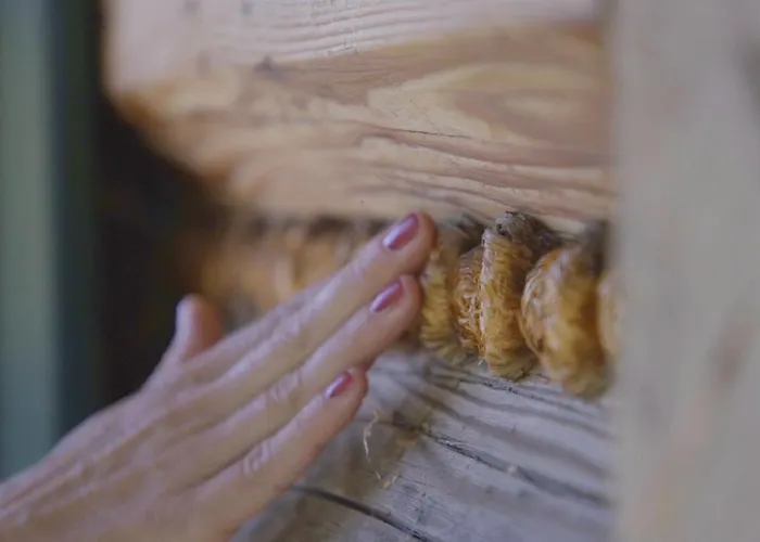 W Szczyrku Sauna & Balia *